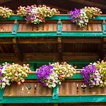 アパート Altes Holzhaus ゼルデン