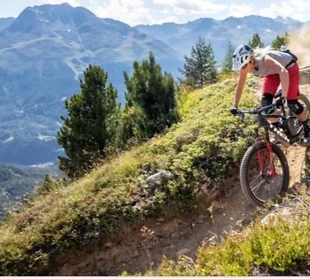 Altes Holzhaus זולדן