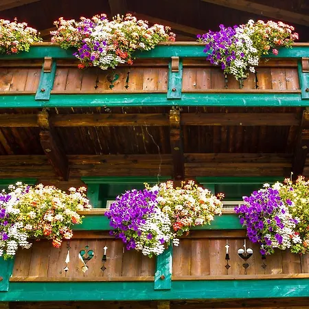 アパート Altes Holzhaus ゼルデン